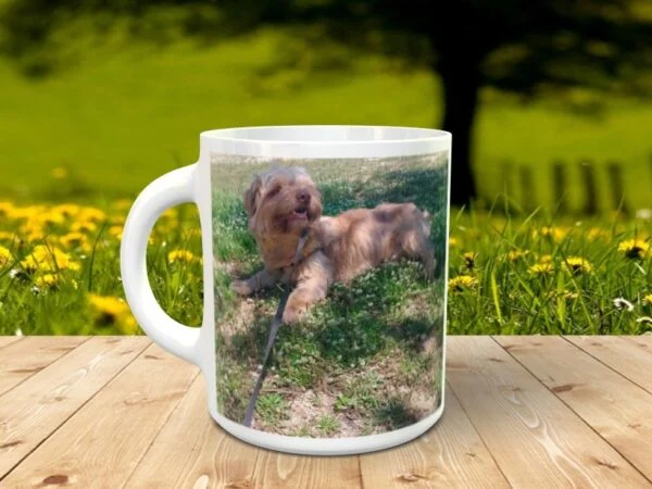 Perro2 personalizado