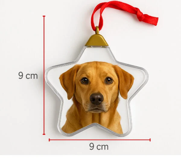 Perro personalizado